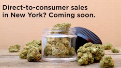 Nycannabis
