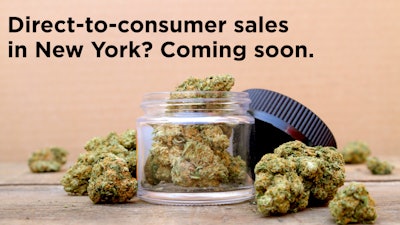 Nycannabis