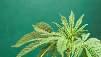 Uruguay Adobestock 92841641