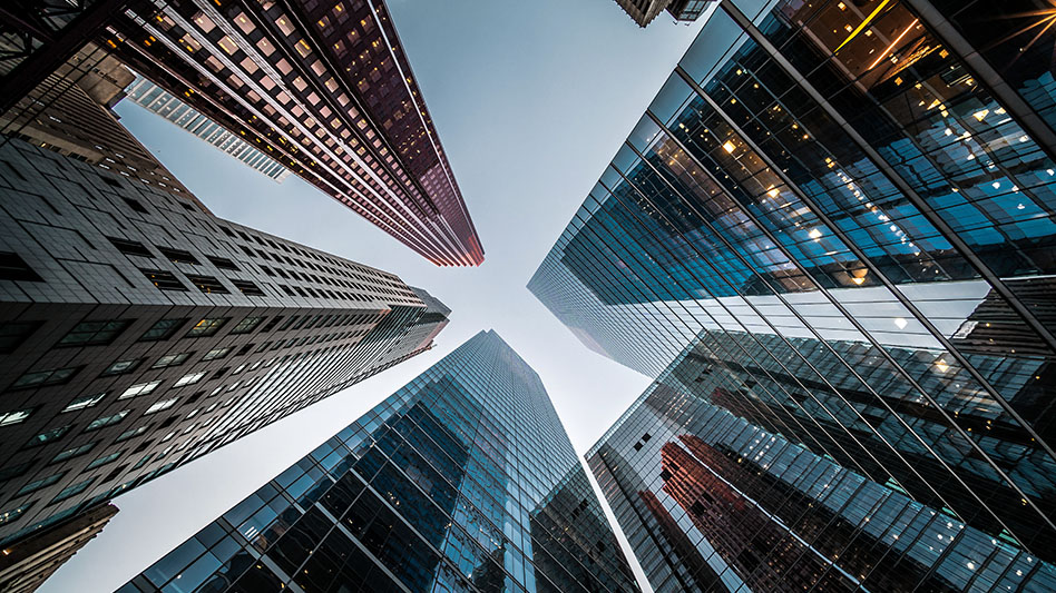 Cse Adobestock 464048638