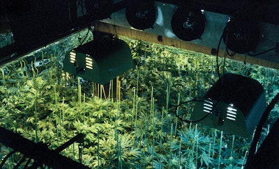 Full Width Article Image Cs5