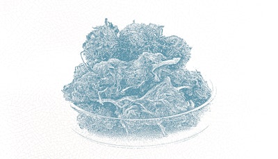 Full Width Article Image Growing Pains 2