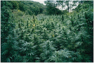 Full Width Article Image Montage10