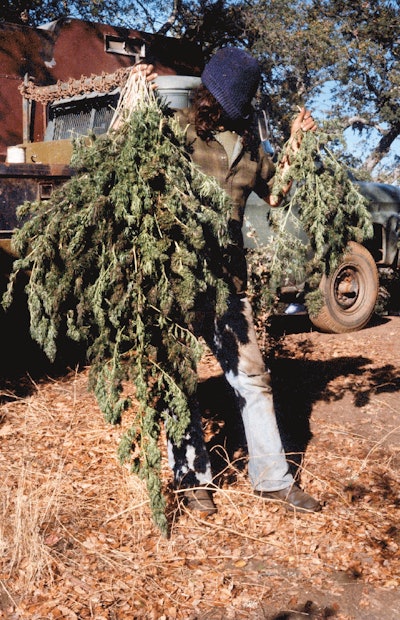 Full Width Article Image Montage9