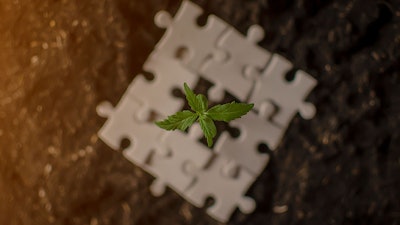 Mjpuzzle Adobestock 211947679