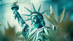 Ny30 587404731