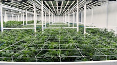 A medical cannabis cultivation facility in Ohio.