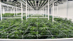 A medical cannabis cultivation facility in Ohio.