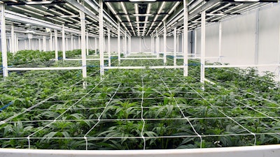 A medical cannabis cultivation facility in Ohio.