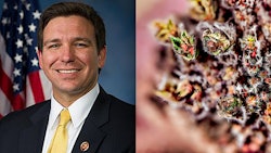 Rondesantis Merged