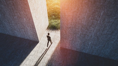 Charlottesweb Adobestock 459422706
