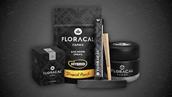Cresco Labs expanded its brand portfolio in Florida to include a suite of flower and live rosin products from its premium FloraCal and Cresco brands.