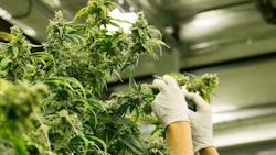 Dcc Adobestock 220336671