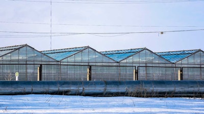 Greenhouse Snow