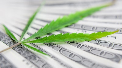 Mjcash Adobestock 264161121