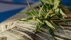 Money And Cannabis Adobe Stock Aleksandr Resized