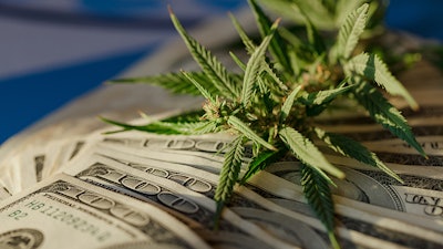 Money And Cannabis Adobe Stock Aleksandr Resized