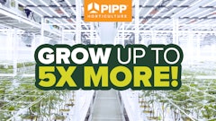 Pipp 640x360 Videoad