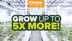 Pipp 640x360 Videoad