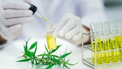 Adobestock 365250395 Cannabis Lab Testingimage Resized