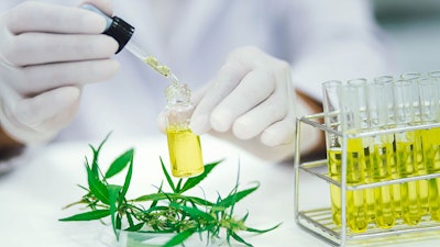 Adobestock 365250395 Cannabis Lab Testingimage Resized