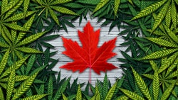 Canada C3presser