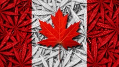 Cannabis Leaves Canada Flag Adobe Stock Freshidea Resized