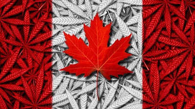 Cannabis Leaves Canada Flag Adobe Stock Freshidea Resized