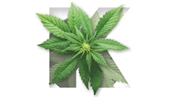 Cult Matters Top Story