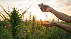 Hempoutdoors