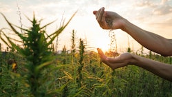 Hempoutdoors