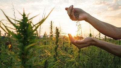 Hempoutdoors