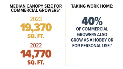 In Article Soi Intro2 Fmt