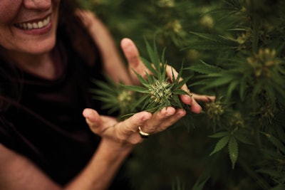 Rebel Spirits Cannabis Feature Fw 052 Fmt