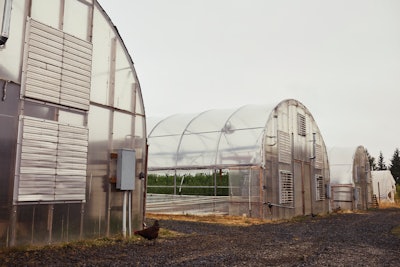 Rebel Spirits Cannabis Feature Fw 074 Fmt