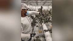 Root & Bloom’s products debuted in October 2022.