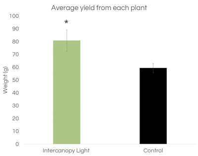 Biomass Yield