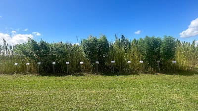 Dual Purpose Trial 2023 Field Day Img 5842 Resized