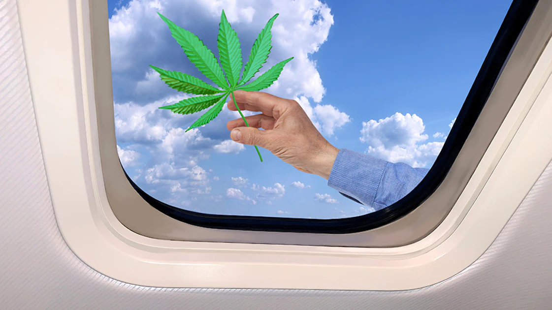 Flying With Cannabis These Holidays? TSA Agents Aren't Actively Searching Out Your Stash | Cannabis Business Times Flying With Cannabis These Holidays? TSA Agents Aren't Actively Searching Out Your Stash | Cannabis Business Times