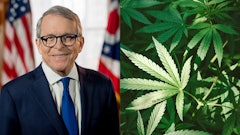 Mikedewine Merged2