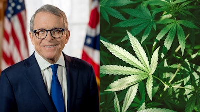 Mikedewine Merged2