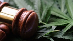 Montana Mjgavel