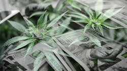 Ny Missouri Octsales