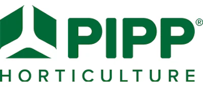 Pipp 350x150 2023