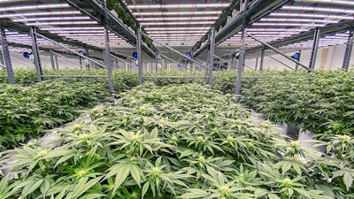 Solar Therapeutics Rii