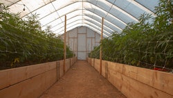 Founded in 2016 by Lex Corwin, Stone Road Farms produces sun-grown flower on a 57-acre, off-grid biodynamic farm in Nevada City, Calif.