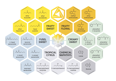 This schematic highlights key volatile compounds that produce specific aromas in cannabis, according to new research.