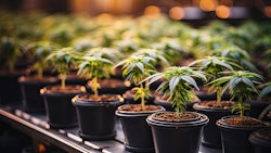 Alabama Integratedlicenses