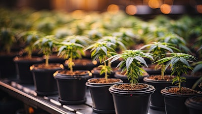 Alabama Integratedlicenses