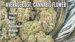 Averagecosts Display